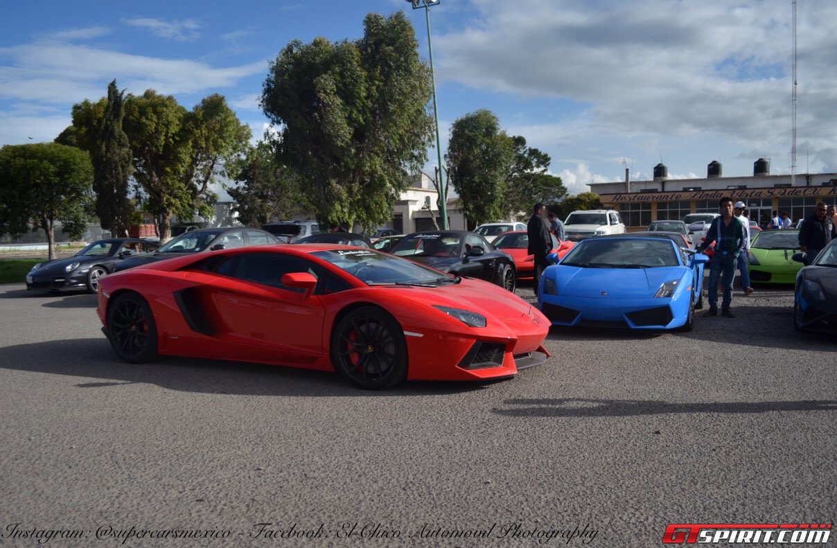 Фото | Lamborghini Aventador и Gallardo