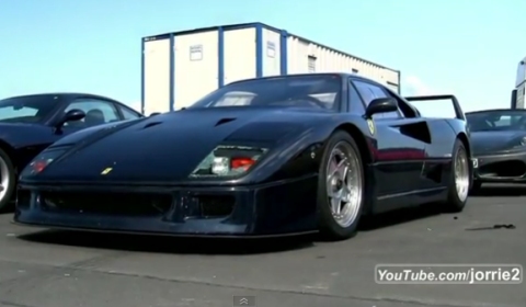 Video Blue Ferrari F40 with