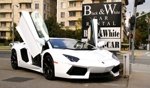 Rent a White Lamborghini
