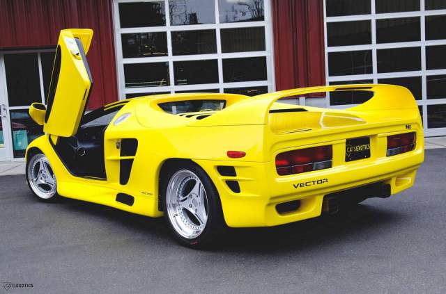 Rare Vector M12 For Sale at Cats Exotics 